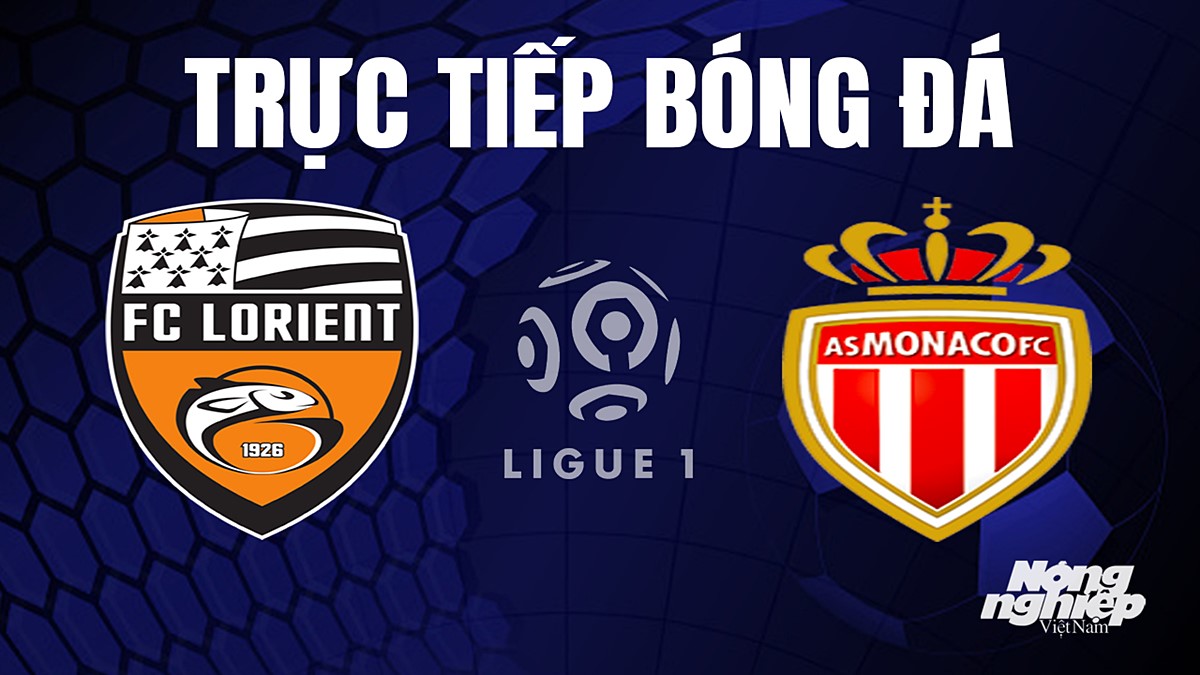 Trực tiếp bóng đá Ligue 1 (VĐQG Pháp) 2023/24 giữa Lorient vs Monaco hôm nay 17/9/2023