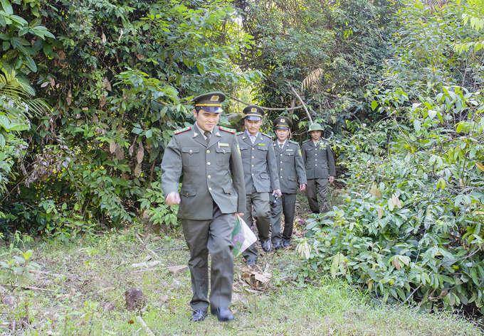 Trách nhiệm của người đứng đầu, trách nhiệm của chủ rừng, của cơ quan chuyên môn được phát huy. Ảnh: Việt Khánh.