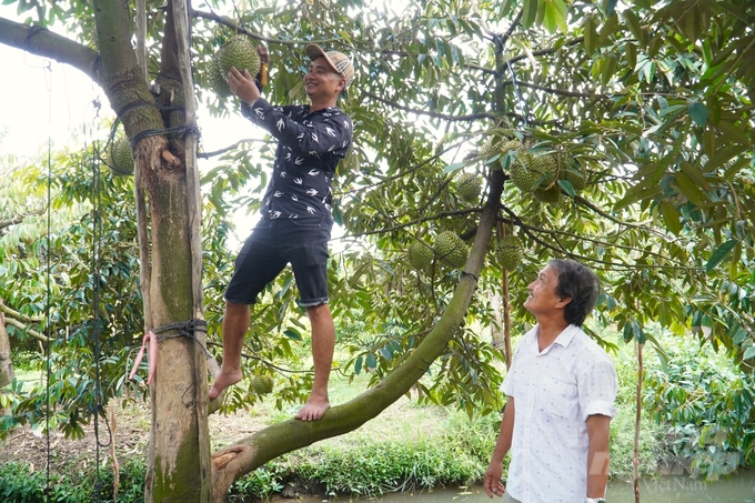 Theo Cục Bảo vệ thực vật, đơn vị này đã nhận nhiều đợt thông báo từ phía Trung Quốc về các lô hàng không tuân thủ kiểm dịch thực vật với các mặt hàng xuất khẩu như chuối, mít, thanh long, sầu riêng, chôm chôm, ớt. Ảnh: Kim Anh.