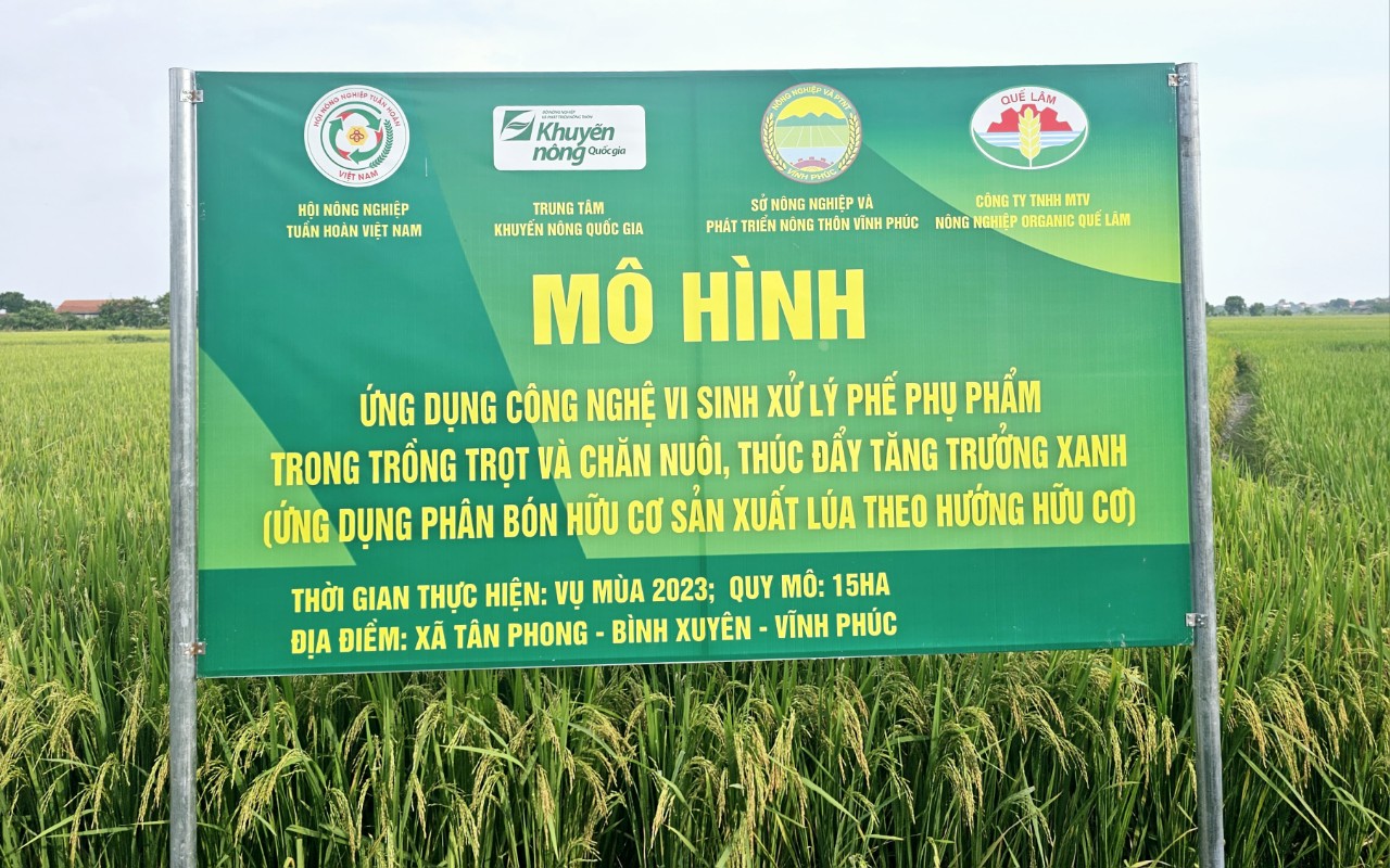 Người dân Tân Phong ứng dụng công nghệ vi sinh thực hiện mô hình nông nghiệp tuần hoàn. Ảnh: Hoàng Anh.