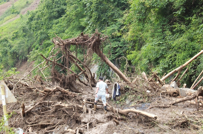 Lượng lớn cây cối, bùn đất, đá nằm ngổn ngang trên tuyến Quốc lộ đoạn qua huyện Mù Cang Chải sau trận mưa lũ. Ảnh: Thanh Tiến.