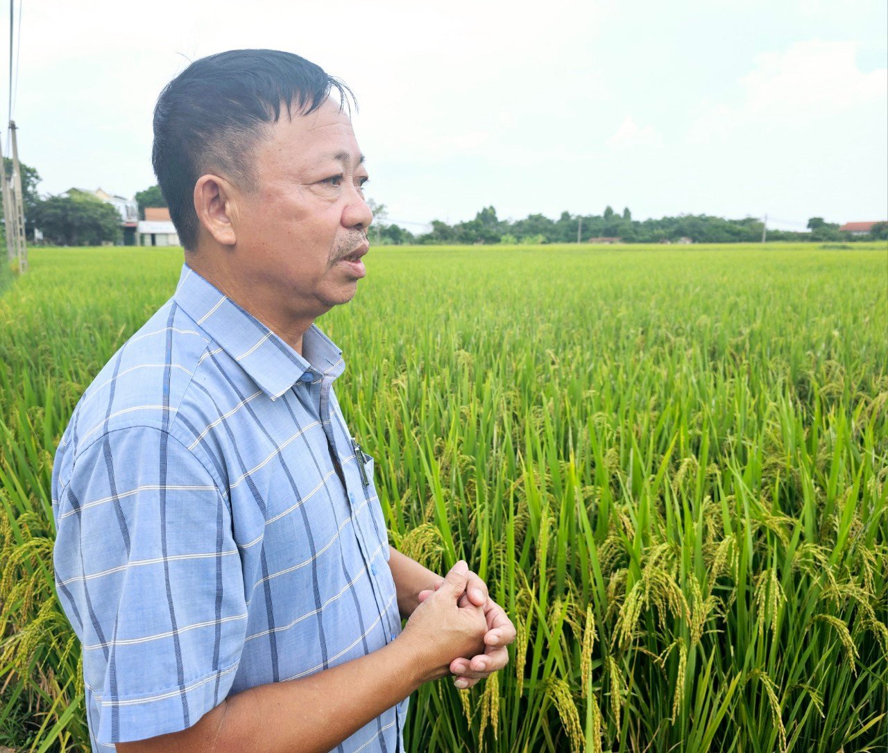 Ông Đặng Văn Tắc, Giám đốc HTX Dịch vụ nông nghiệp Tân Phong kể về quá trình khó khăn khi vận động bà con tham gia sản xuất lúa hữu cơ. Ảnh: Hoàng Anh.