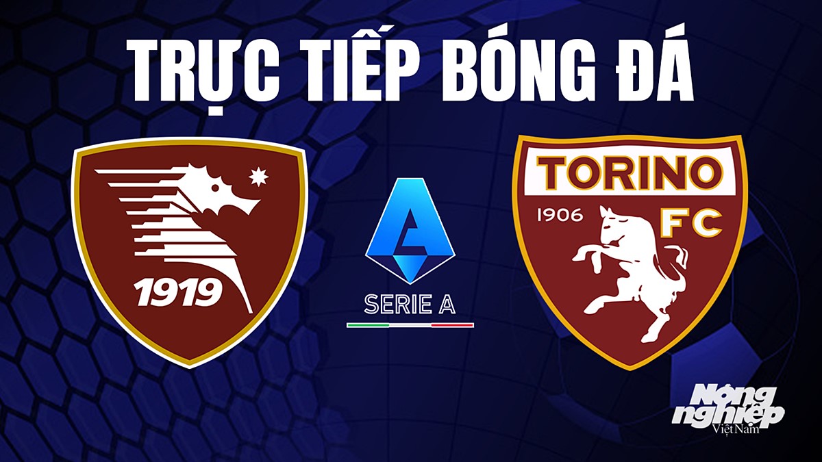 Trực tiếp bóng đá Serie A (VĐQG Italia) 2023/24 giữa Salernitana vs Torino hôm nay 18/9/2023