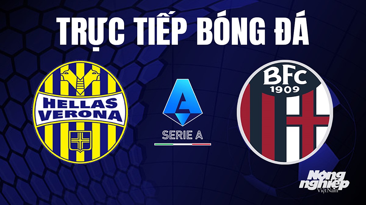 Trực tiếp bóng đá Serie A (VĐQG Italia) 2023/24 giữa Hellas Verona vs Bologna hôm nay 19/9/2023