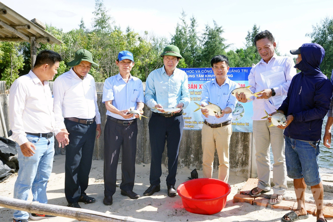 Thành công của đề tài sẽ mở ra hướng đi mới cho nghề nuôi trồng thủy sản tại Quảng Trị. Ảnh: Võ Dũng.