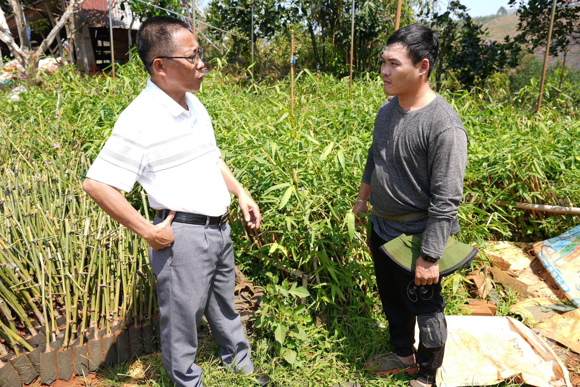 Lê Minh Cà Na (phải), đang trò chuyện với ông Hồ Gấm, Chủ tịch Hội Nông dân tỉnh Đắk Nông trước vườn ươm tre giống. Ảnh: Hồng Thủy.