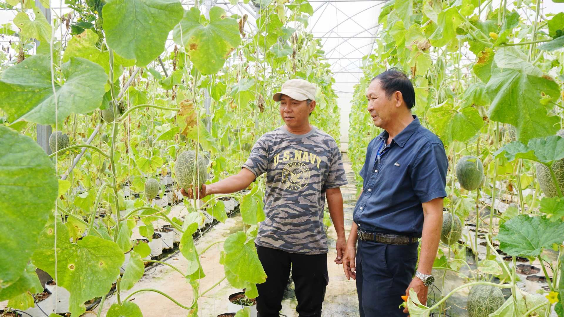 Trong nhiệm kỳ mới, Hội Nông dân Đồng Nai sẽ định hướng cho hội viên phát triển theo mô hình nông nghiệp công nghệ cao, theo chuỗi bền vững. Ảnh: Lê Bình.