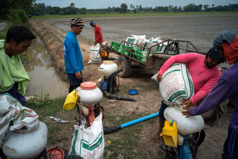 Nông dân ở tỉnh Chainat, Thái Lan, chuẩn bị gieo sạ hôm 31/8. Ảnh: Reuters.