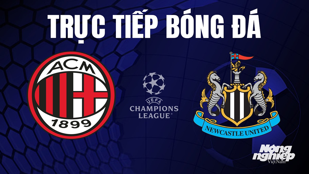 Trực tiếp bóng đá Cúp C1 Châu Âu giữa AC Milan vs Newcastle United hôm nay 19/9/2023