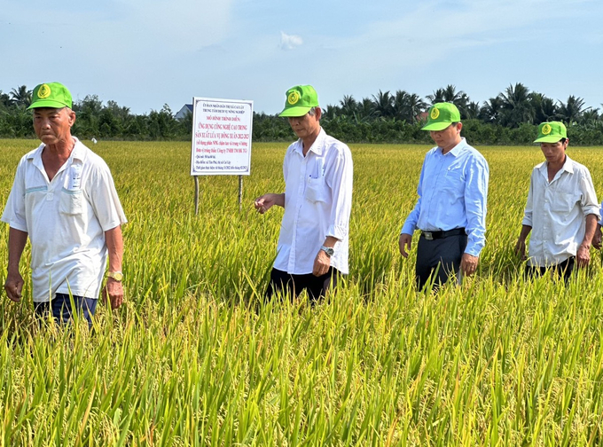Mô hình liên kết trồng lúa của Công ty HK Green với nông dân Gò Công. Ảnh: Minh Đảm.