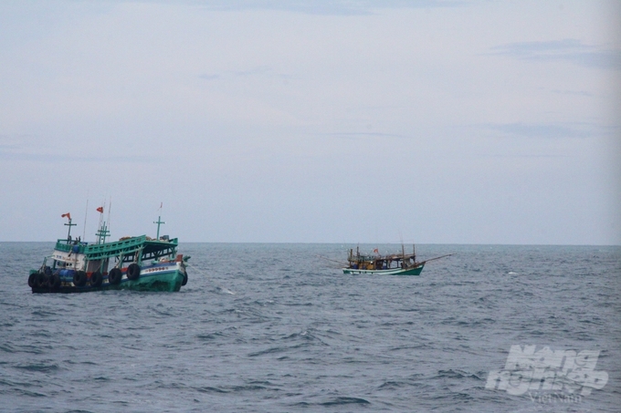 Fishing boats operating in An Thoi waters. Photo: Kien Trung.