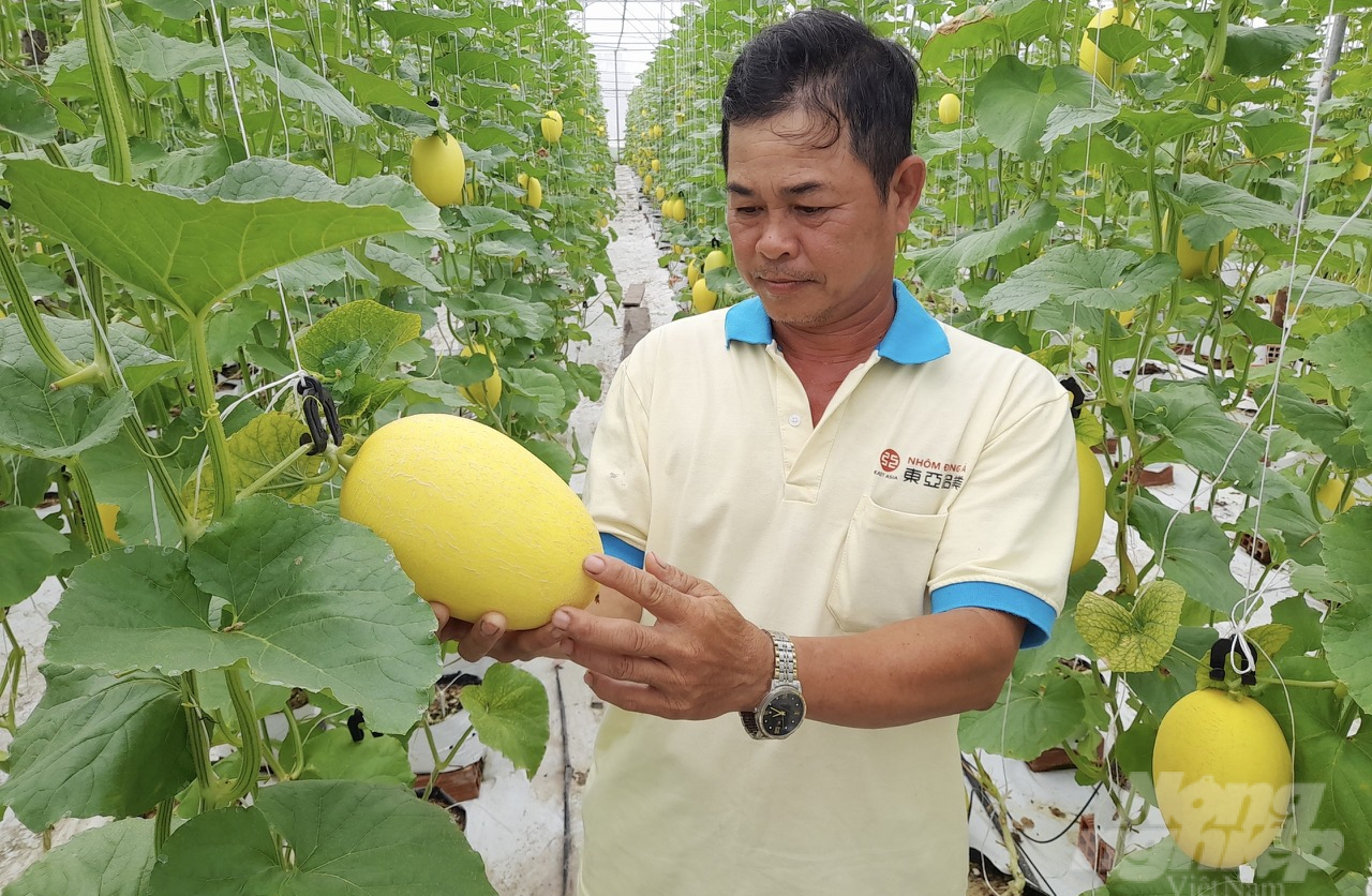 Cooperatives play an important role in the agricultural sector. Photo: Ho Thao.