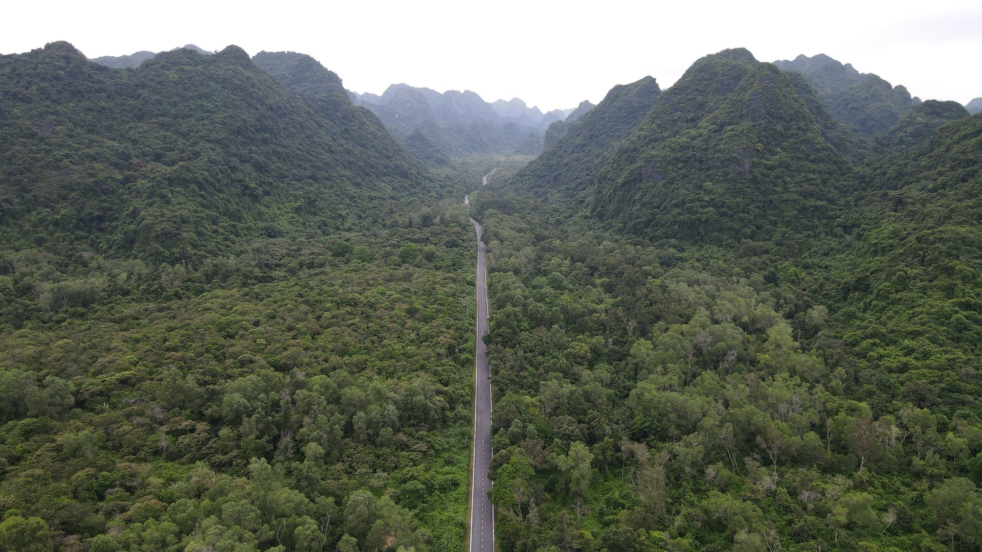 Vietnam strives towards sustainable green growth. Photo: VAN.