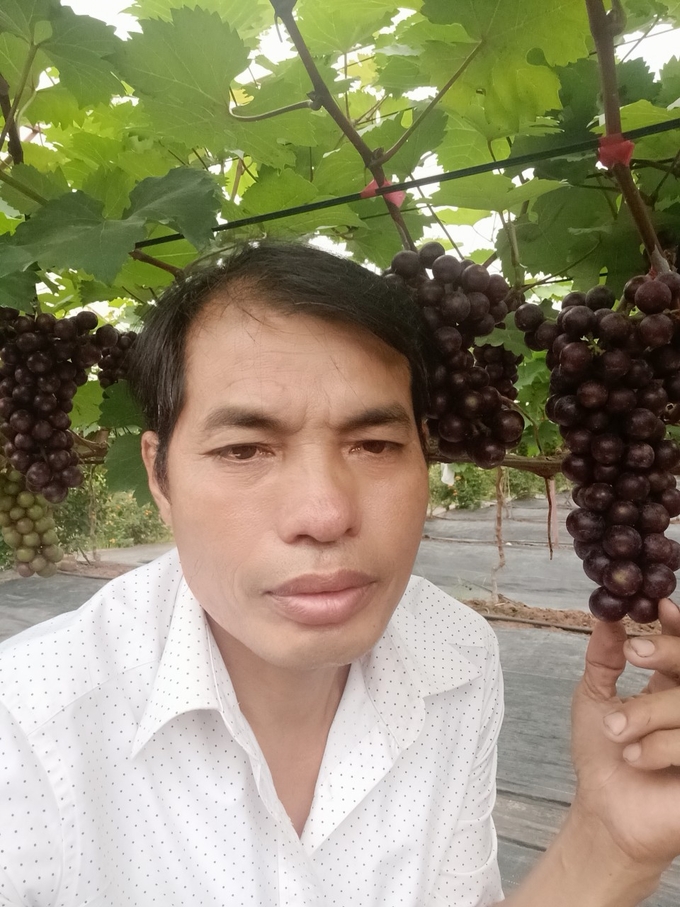 Mr. Hoi is a pioneer in growing Ha Den grapes and doing agricultural tourism.