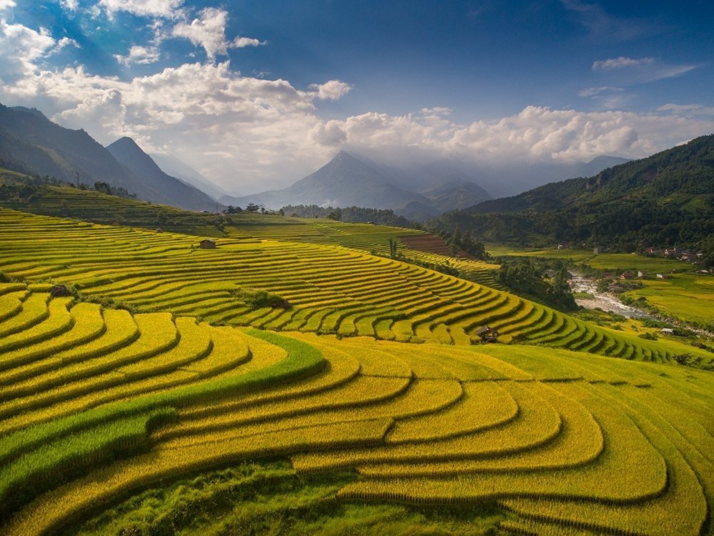 Ruộng bậc thang ở xã Liên Minh (Sa Pa). Đây là một trong những xã có nhiều diện tích rừng nhất Sa Pa. Bà con ở đây ngoài việc canh tác lúa còn nuôi cá tầm, cá hồi.