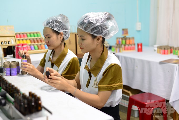 Ms. Van's company is producing 12 lines of essential oil products of all kinds. Photo: Minh Hau.