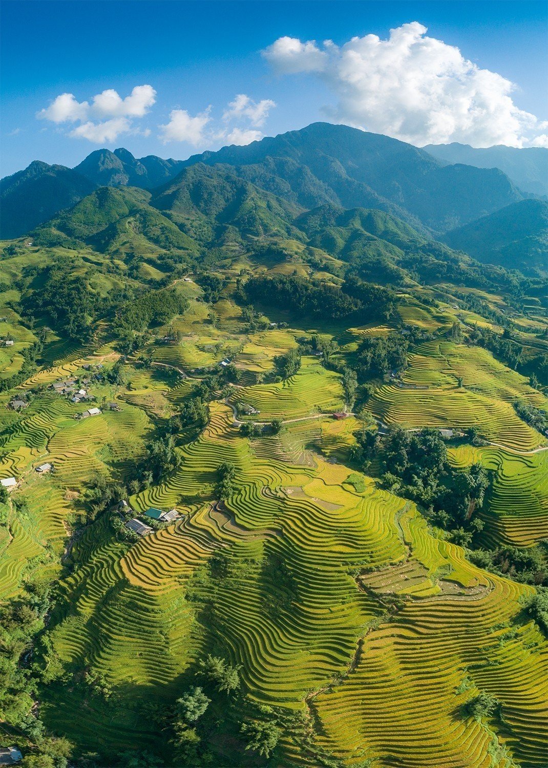 Ruộng bậc thang ở xã Mường Hoa (Sa Pa) - một trong những xã gần thị trấn và có khung cảnh thiên nhiên tuyệt vời; với bãi đá cổ nghìn năm tuổi...