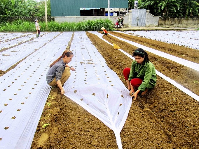 Organic production is becoming a trend among countries worldwide. Photo: VAN.