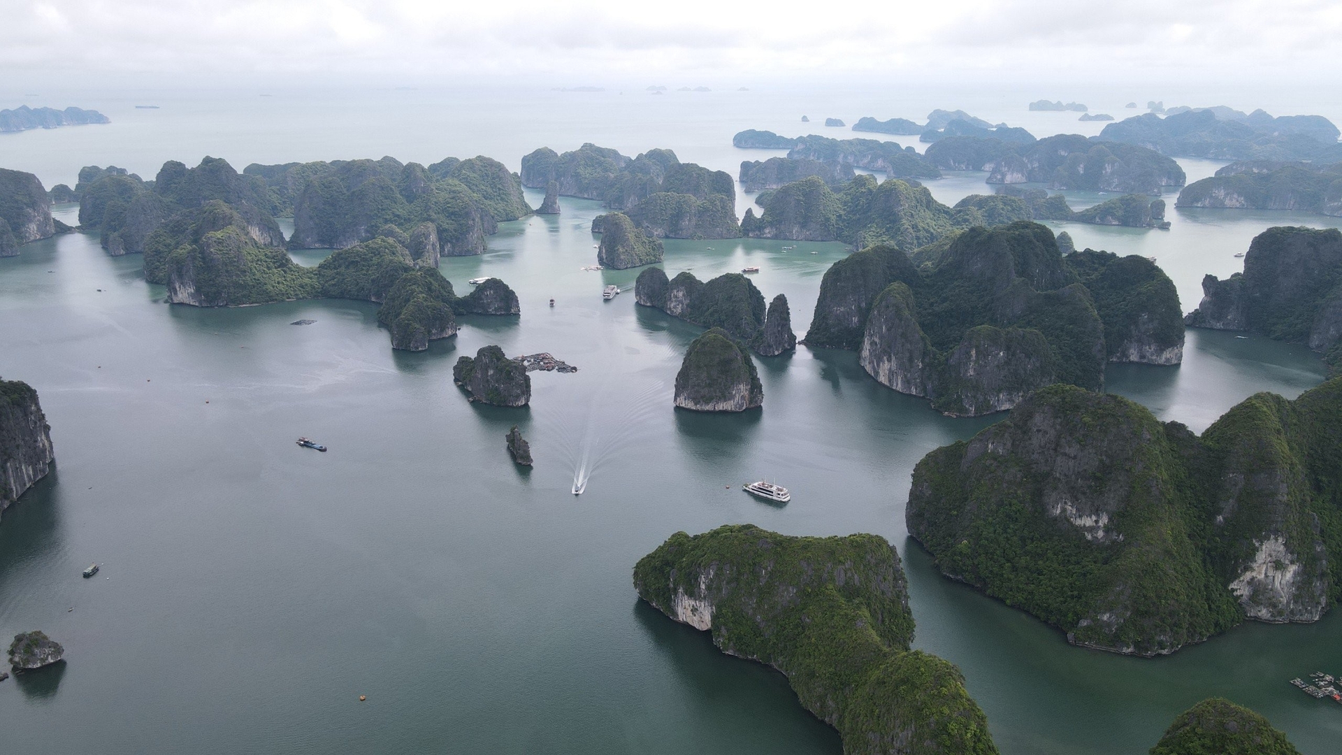 Cat Ba Archipelago, Vietnam was recognized by UNESCO as a World Natural Heritage in September 2023. Photo: VAN.