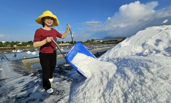 Salt production on HDPE plastic sheets provides higher yield and quality compared to traditional soil-based production methods. Photo: Kim So.