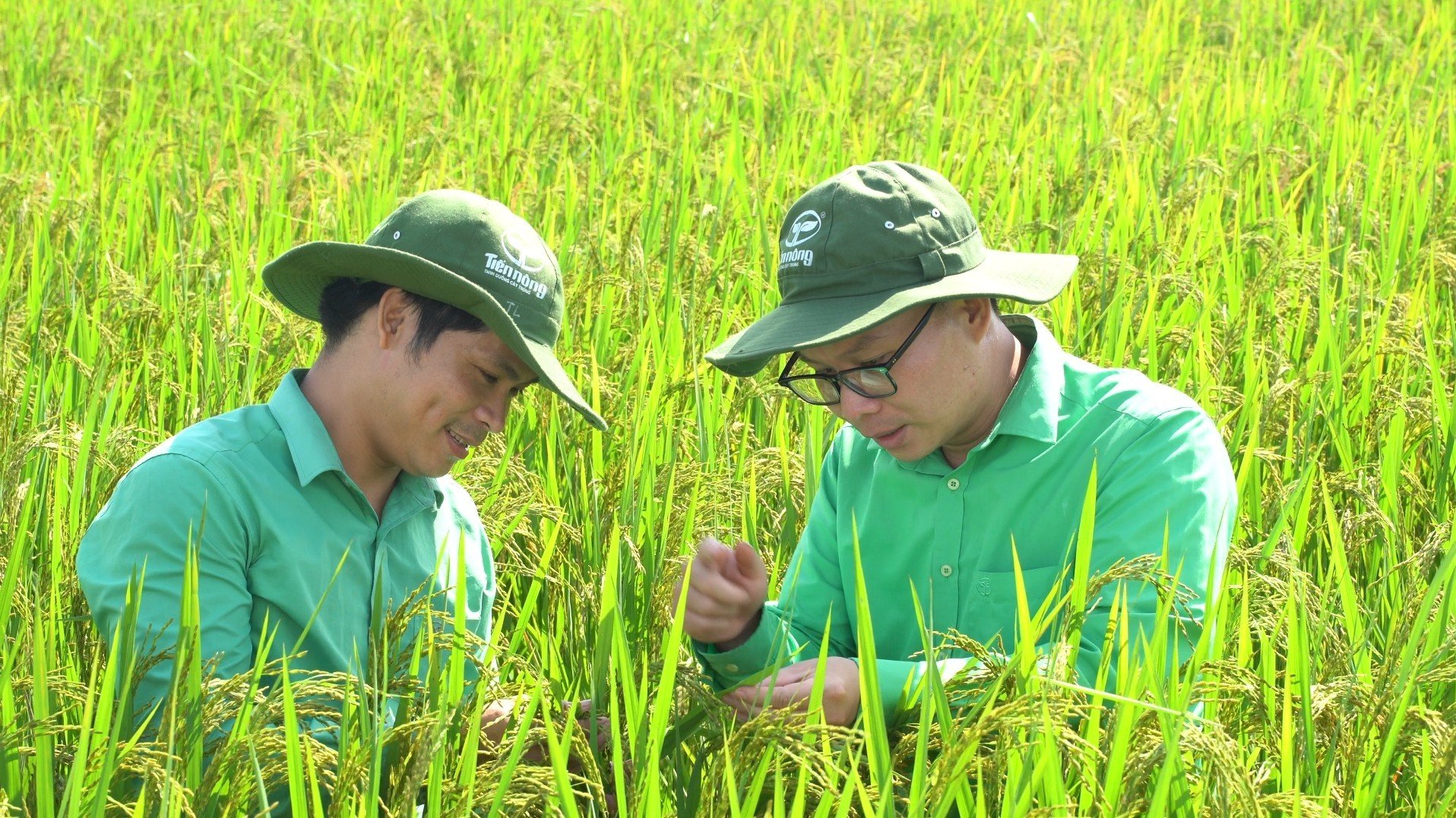 Cán bộ Tiến Nông tận tâm hỗ trợ nông dân sản xuất nông nghiệp, gặt hái những mùa vàng bội thu. Ảnh: Duyên Hoàng.