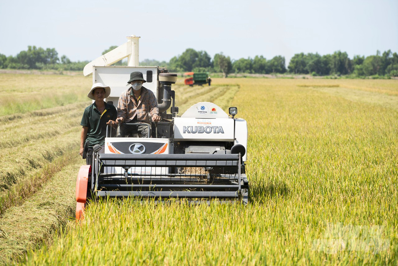 Dự án TRVC sẽ đã hỗ trợ cho Đồng Tháp khoảng 22 tỷ đồng để phát triển chuỗi giá trị lúa gạo tại địa phương. Ảnh: Lê Hoàng Vũ.