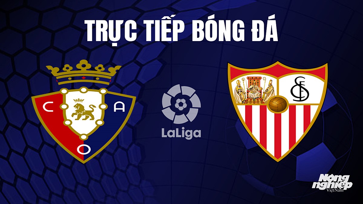 Trực tiếp bóng đá La Liga 2023/24 giữa Osasuna vs Sevilla hôm nay 23/9/2023