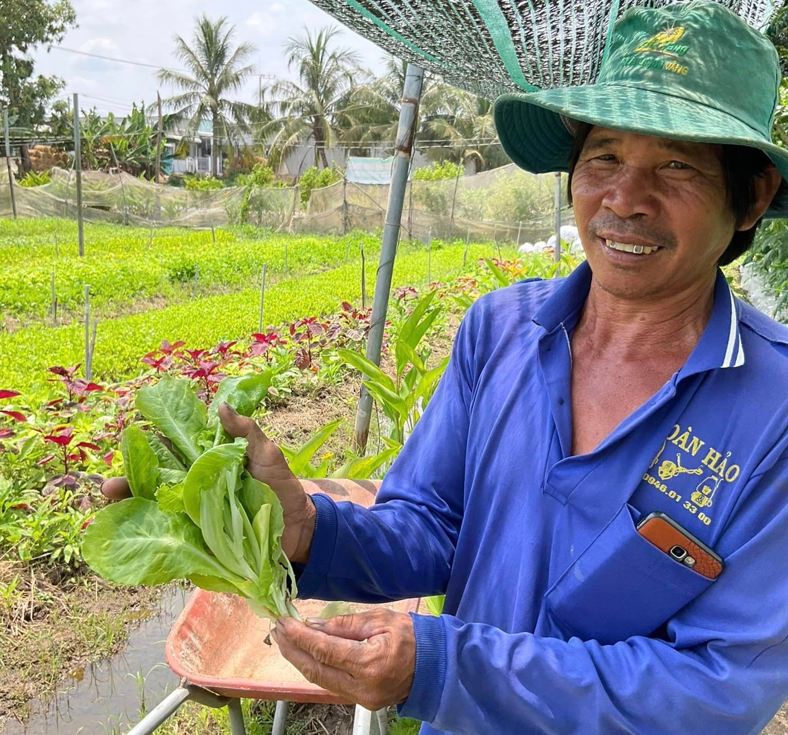 Nông dân huyện Hồng Ngự tham gia dự án Phát triển nông nghiệp hữu cơ PGS Đồng Tháp.