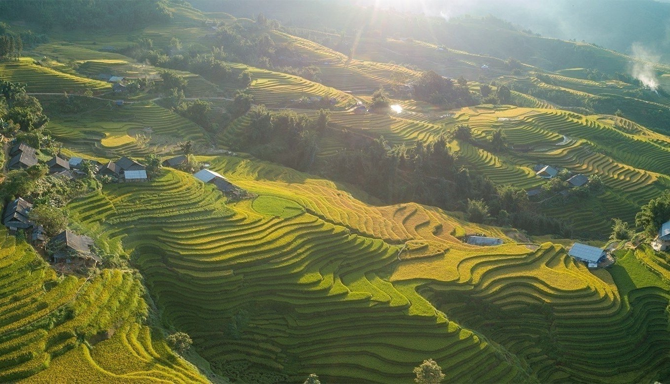 Terraced fields in Muong Hoa valley (Sa Pa). Photo: P.B.