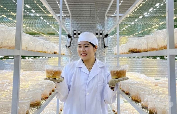 Mỗi năm, Công ty TNHH Thiên Hương Phát Đà Lạt sản xuất và cung ứng ra thị trường từ 700 - 800kg nấm đông trùng hạ thảo khô các loại. Ảnh: M.H.