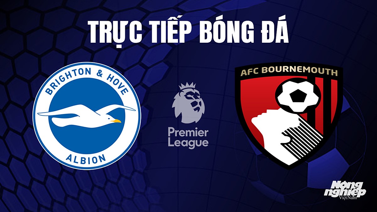 Trực tiếp bóng đá Ngoại hạng Anh giữa Brighton vs Bournemouth hôm nay 24/9/2023