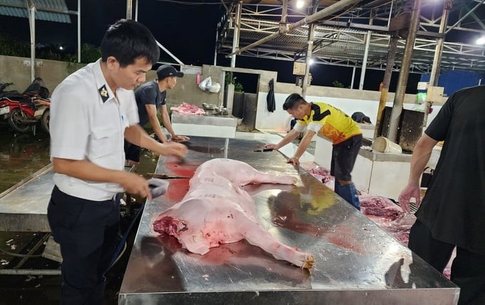 Veterinary officers stamp quarantine for pigs at slaughter facilities that meet requirements. Photo: Minh Quy.