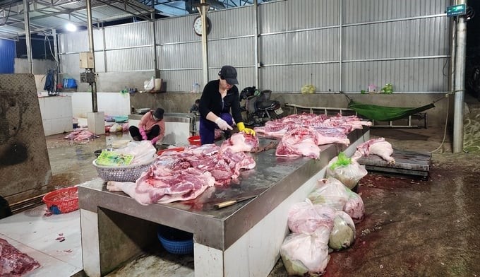 Currently, Buon Ma Thuot Animal Husbandry and Veterinary Station can only manage nearly 300 pigs, while over 200 heads slaughtered every night have not been controlled but are brought to markets for consumption. Photo: Quang Yen.