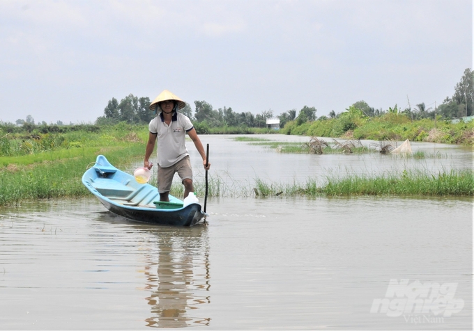 Nông dân huyện An Minh sử dụng sản phẩm sinh học Bồ Đề Mother Water xử lý môi trường nước nuôi tôm, giúp giảm chi phí đầu tư, tăng năng suất và chất lượng tôm nuôi. Ảnh: Trung Chánh.