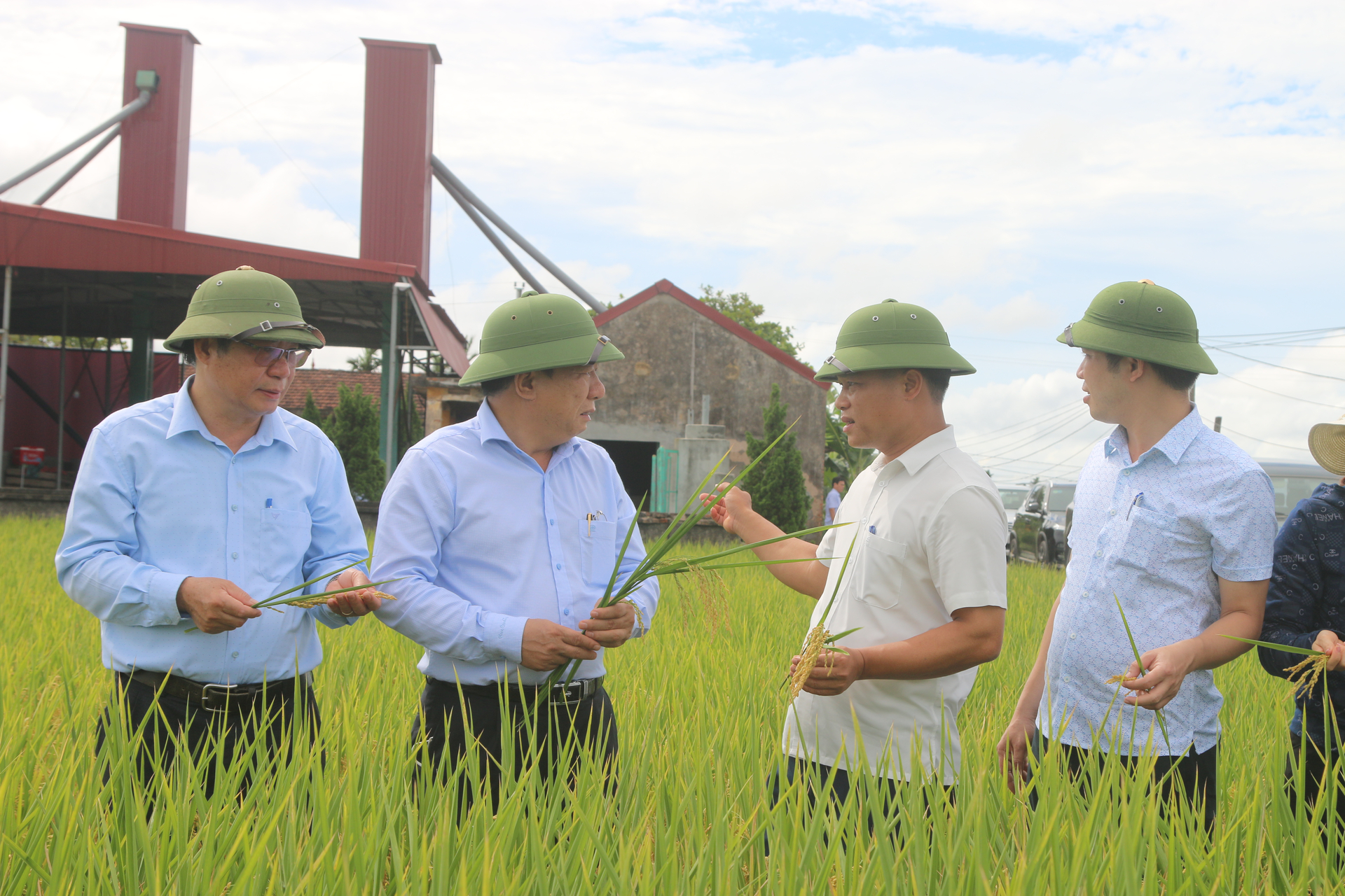 Lãnh đạo TP Hải Phòng kiểm tra một cánh đồng mẫu lớn cho hiệu quả kinh tế cao ở huyện Tiên Lãng. Ảnh: Đinh Mười.