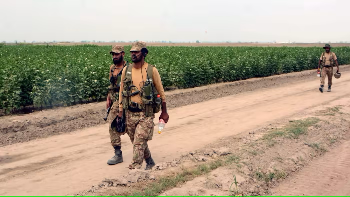 Quân đội Pakistan khảo sát dự án nông nghiệp ở tỉnh Punjab hôm 23/7. Ảnh: EPA.