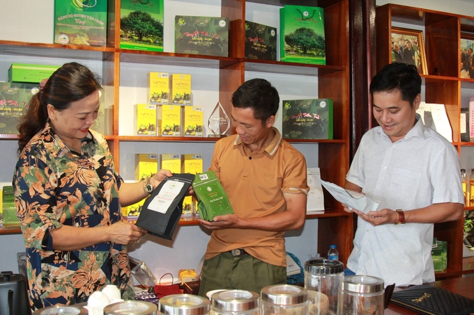 Currently in Suoi Giang commune, there are 4 products from Shan Tuyet tea that meet OCOP standards and are exported. Photo: Thanh Tien.