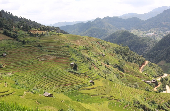 Ở Mù Cang Chải có hơn 7.000ha ruộng bậc thang do bàn tay đồng bào vùng cao san tạo. Ảnh: Thanh Tiến.