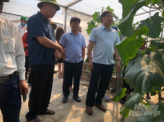 PGS.TS Lê Quốc Thanh (ngoài cùng bên phải) Giám đốc Trung tâm Khuyến nông Quốc thăm và đánh giá mô hình trồng dưa chuột của dự án tại HTX Âu Việt Farm (Kim Thành, Hải Dương). Ảnh: Hải Tiến.