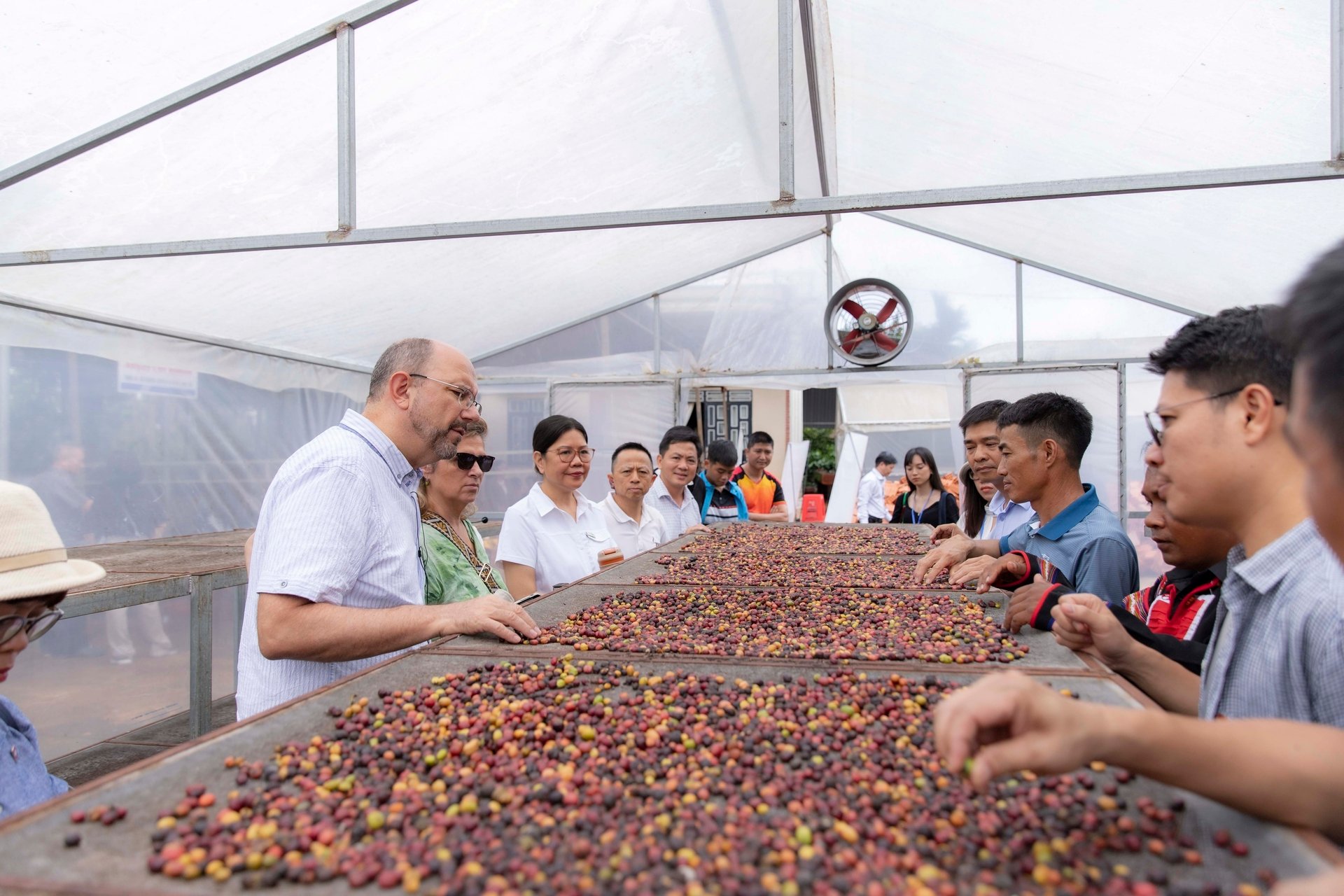 The Ambassador and the delegation visited the Trong Phu Cooperative, No. 5 in Ea Hiao commune, and the coffee gardens of cooperative members. 