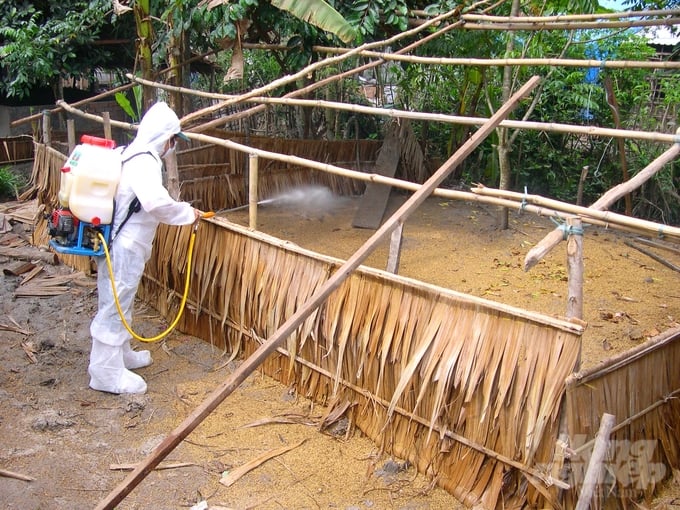 The agricultural sector in Can Tho city recently launched a comprehensive month-long sanitation, disinfection, environmental detoxification, and prevention campaign against livestock, poultry, and aquatic diseases. Photo: Le Hoang Vu.