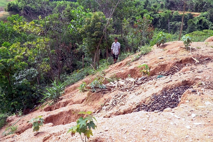 Biết nguy hiểm nhưng gia điình ông Hồ Văn De không còn lựa chọn nào khác khi tiền hỗ trợ không đủ để mua đất làm nhà. Ảnh: Võ Dũng.