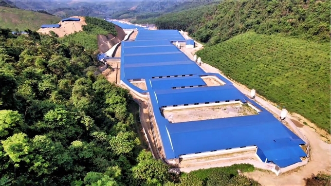 A pig farming project in Na Ri district (Bac Kan province). Photo: Ngoc Tu.