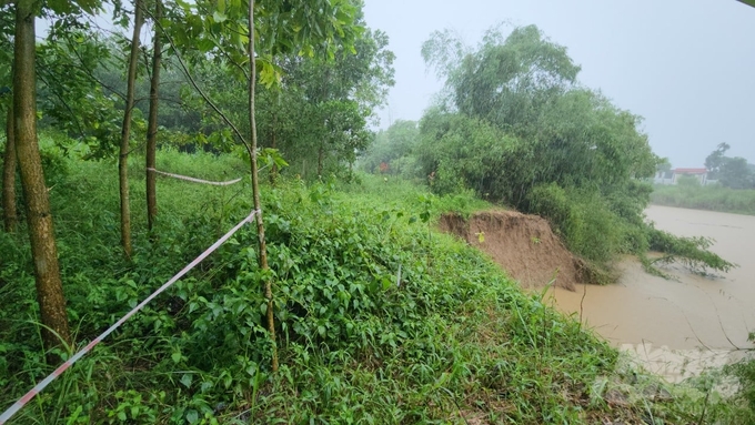 Sạt lở sông Bưởi ăn sâu vào đất liền. Ảnh: Quốc Toản.