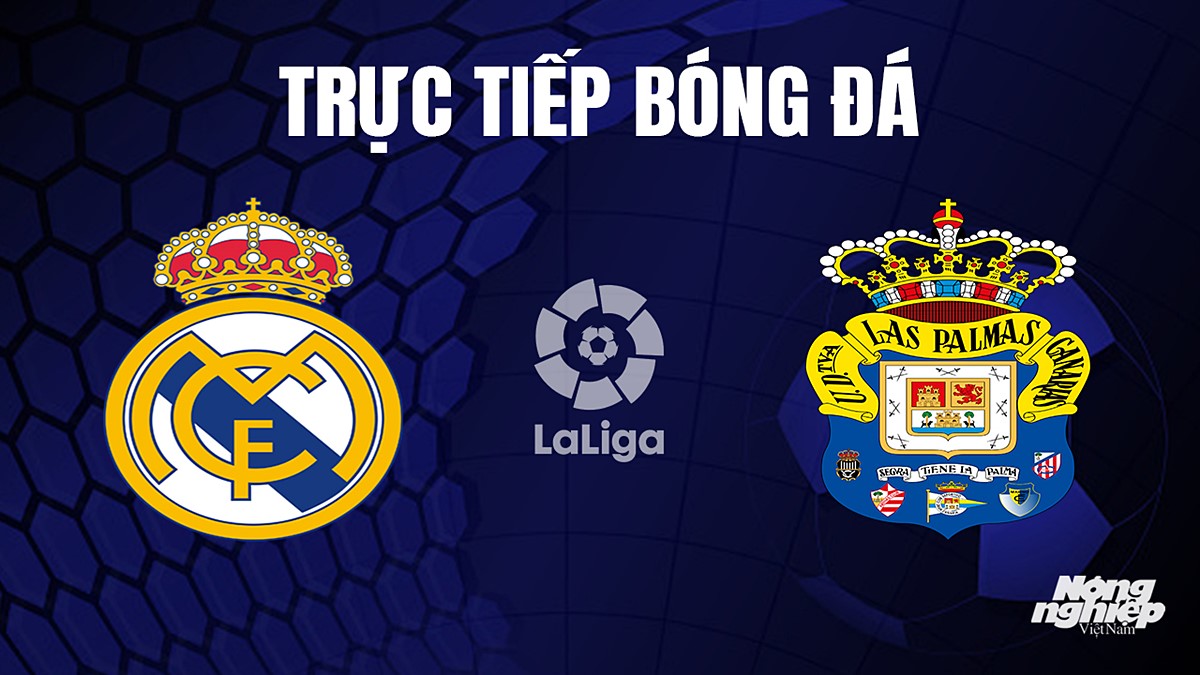 Trực tiếp bóng đá La Liga 2023/24 giữa Real Madrid vs Las Palmas ngày 28/9/2023