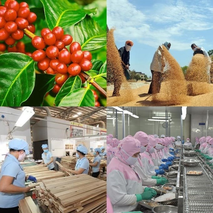 Total export turnover of agro-forestry-fishery products in the first nine months of 2023 is estimated to reach USD 38.48 billion, down 5.1% over the same period last year.