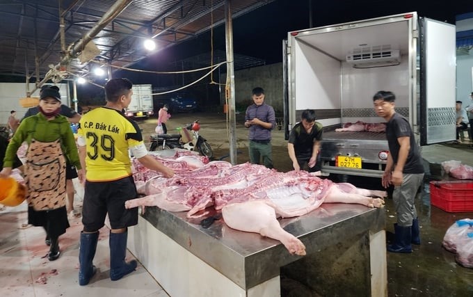 Some slaughter facilities in Dak Lak were invested in for billions of dongs but are operating moderately. Photo: Quang Yen.