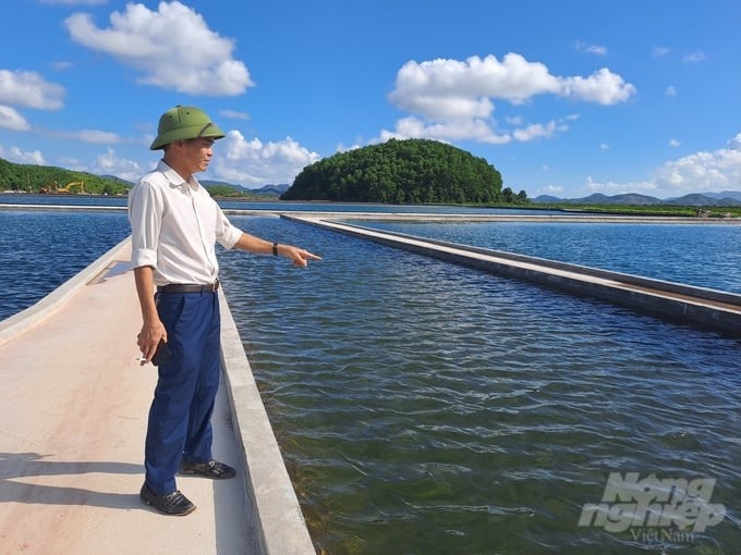 According to Mr. Manh, in order to raise shrimp successfully, the water source is the most important factor. Only with clean water can shrimp grow well, limiting disease risks. Photo: Viet Cuong.