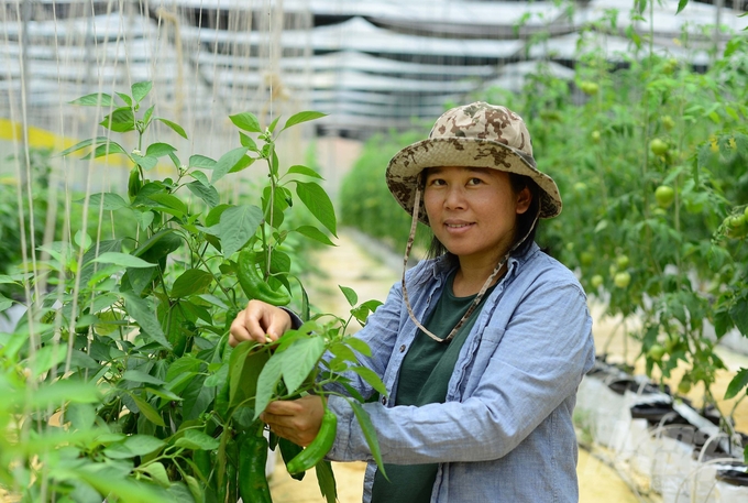 Năm 2020, chị Trần Thị Huệ cùng chồng rời Đức về Việt Nam và bắt tay vào sản xuất nông nghiệp hữu cơ. Ảnh: Minh Hậu.
