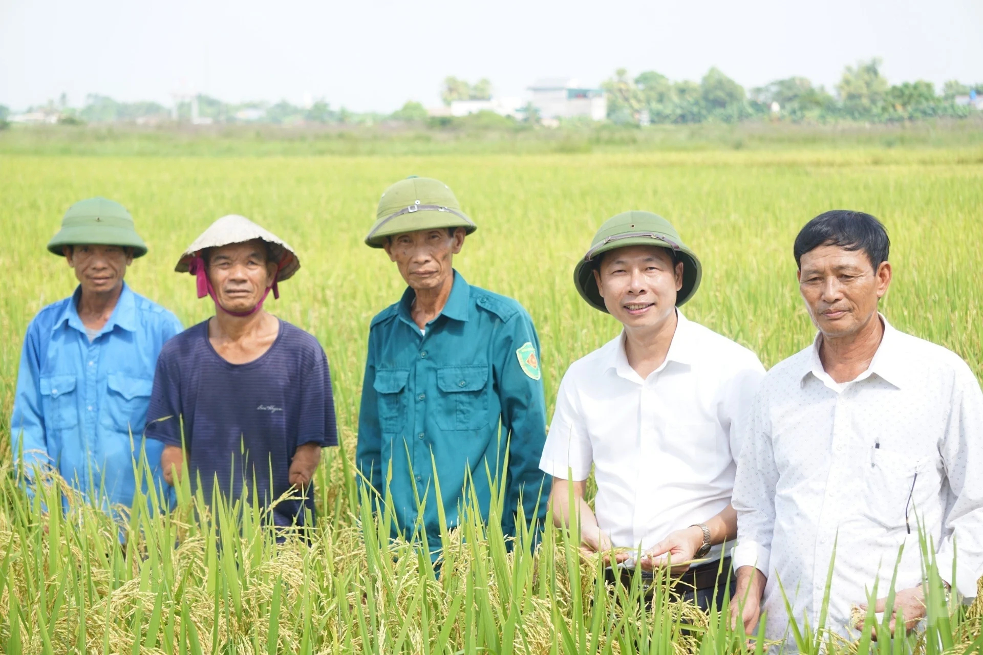 Dr. Nguyen Trong Quyen, Director of the Center for Research - Testing and Crop Services of Thanh Hoa Agriculture Institute (2nd from the right) visiting organic rice fields with people in Hop Nhat village, Te Nong commune. Photo: Quoc Toan.